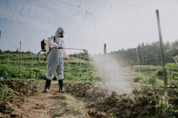 Best Affordable Pest Control Services  in Duenweg, MO