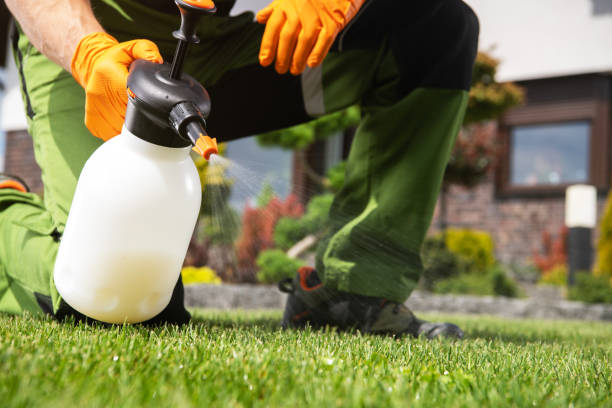 Pest Prevention Services in Duenweg, MO