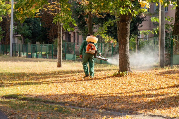 Best Best Pest Control Companies  in Duenweg, MO