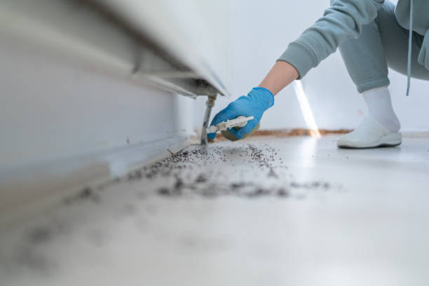 Best Wildlife Control Services  in Duenweg, MO